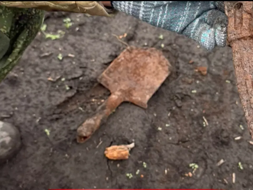 Фото: Раменский медиацентр