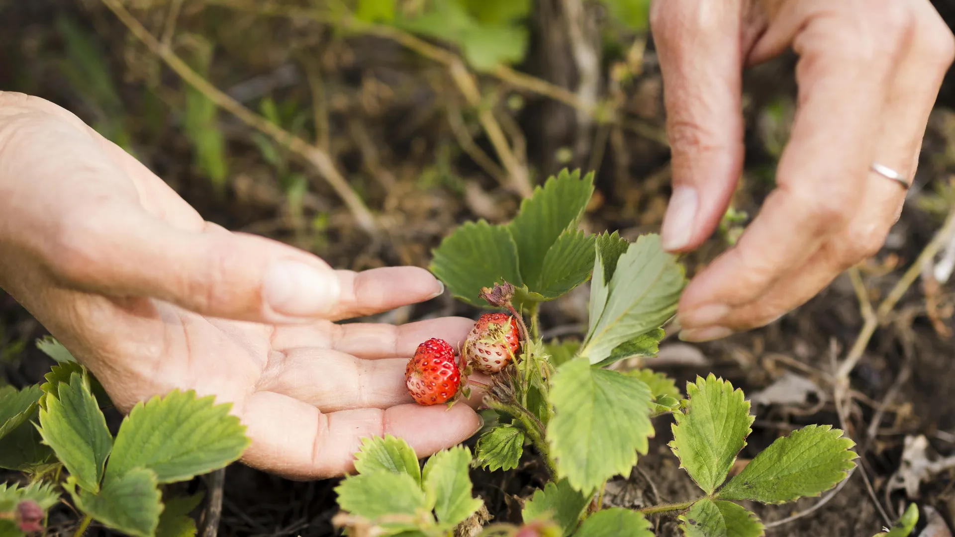 Фото: freepik.com