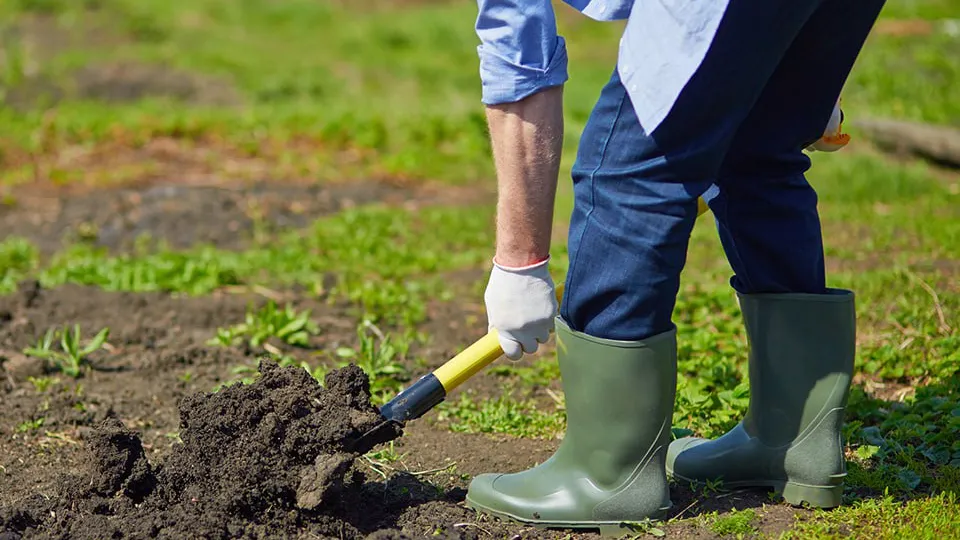 Фото: istockphoto.com/Pressmaster