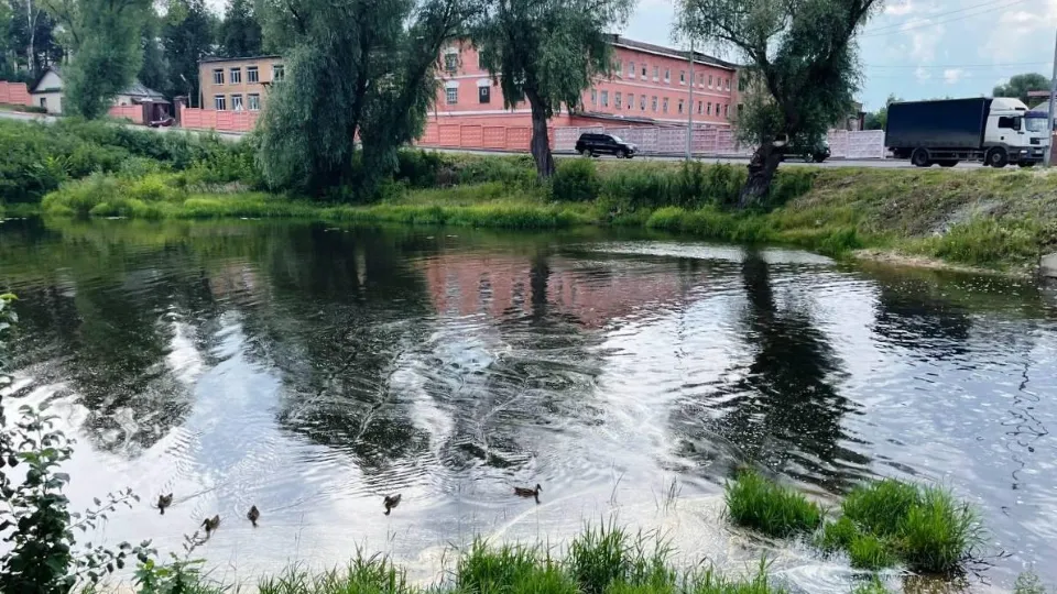 Фото: Пресс-служба администрации городского округа Пушкинский