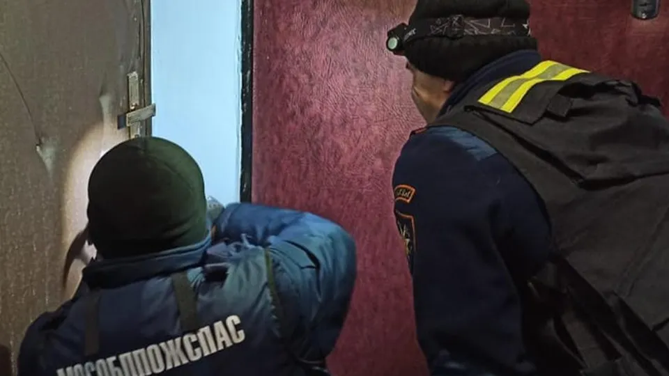 Фото: ГКУ МО «Мособлпожспас»