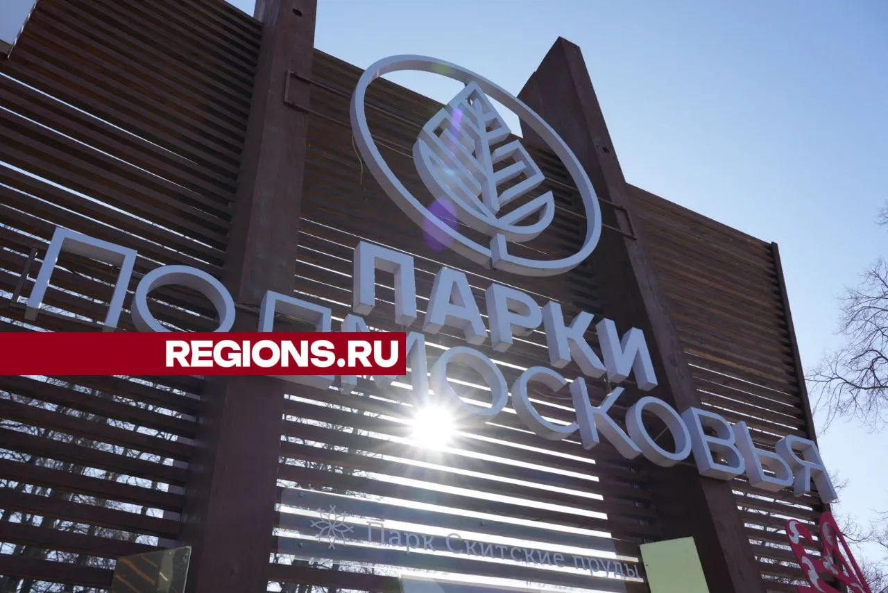 Фото: REGIONS/Дмитрий Зайчиков