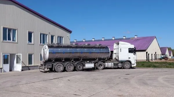 Россиянам рассказали, какую опасность таит разливное молоко