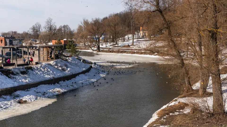 Фото: медиасток.рф