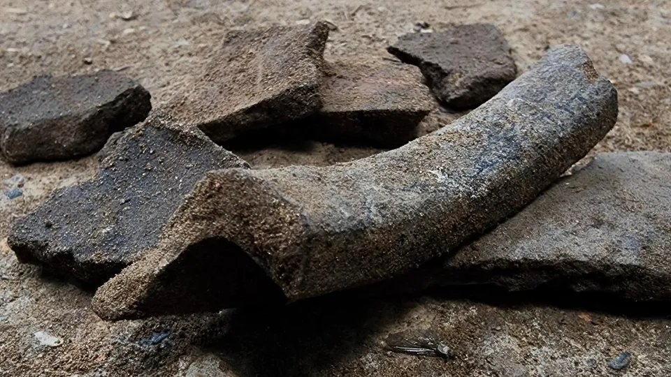 Фото: Екатерина Данилина