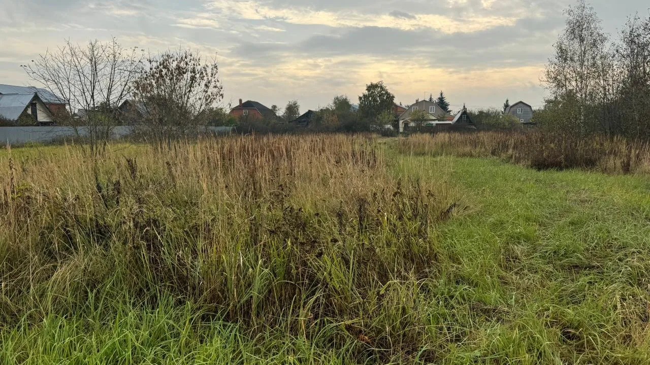 Фото: пресс-служба Комитета по конкурентной политике Московской области