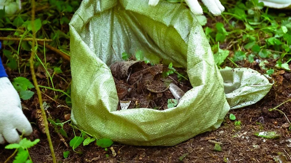 Фото: Администрация Сергиево-Посадского г.о.