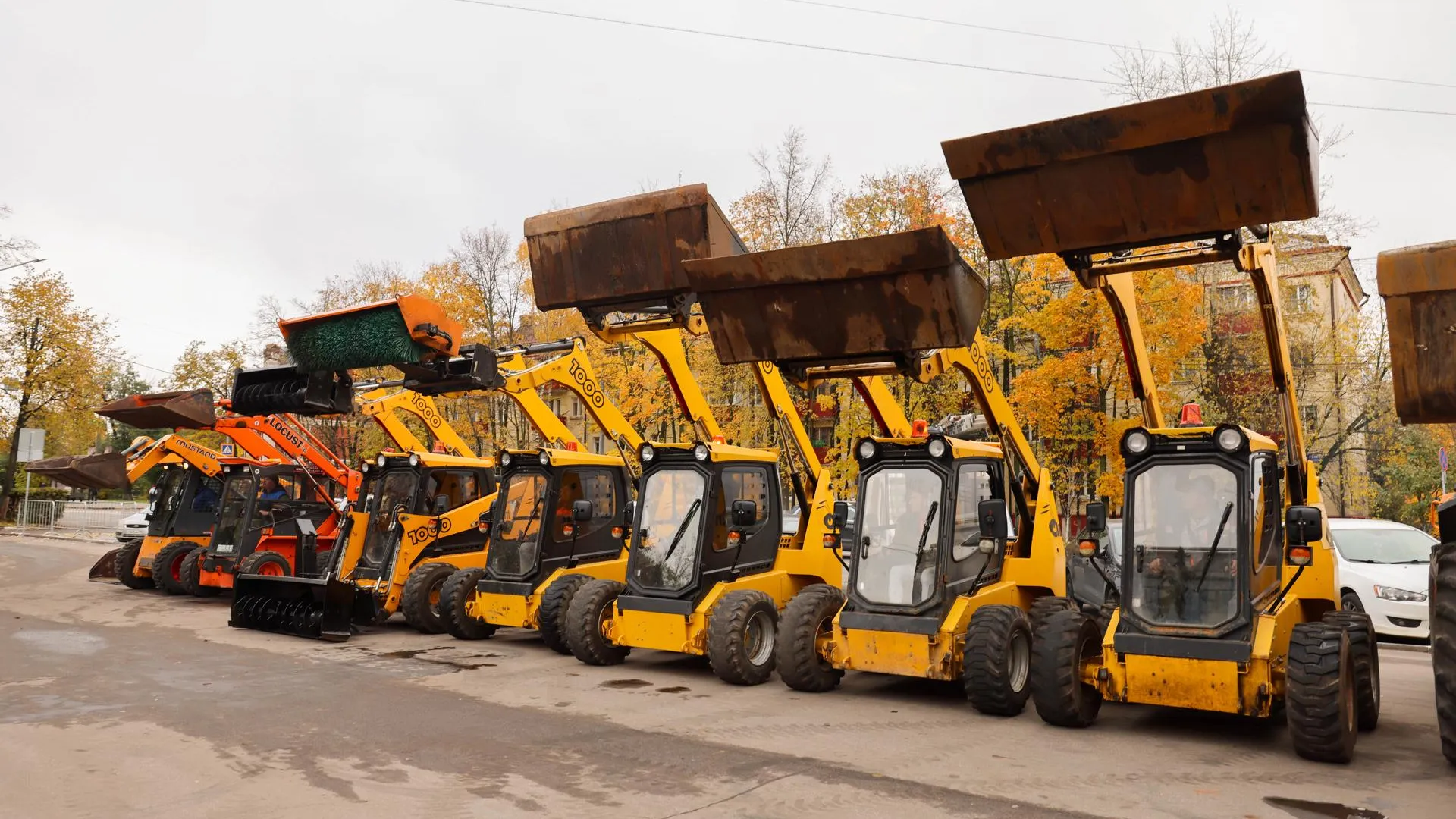 Фото: пресс-служба губернатора и правительства Московской области