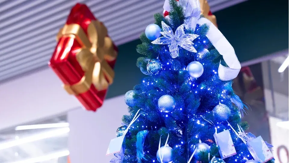 Фото: REGIONS/Наталия Надточая