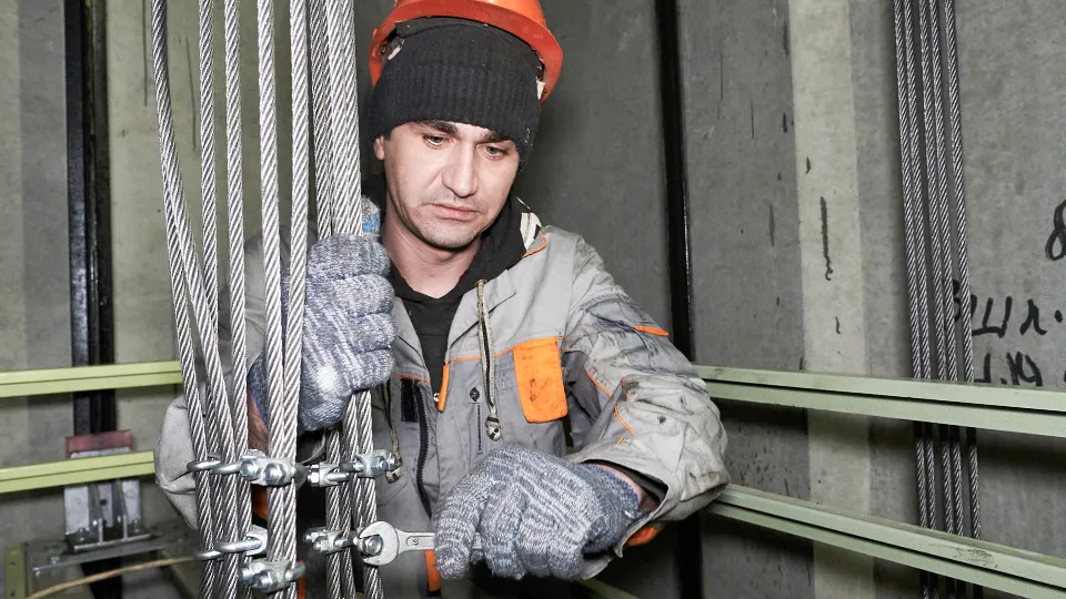 Фото: пресс-служба губернатора и правительства Московской области