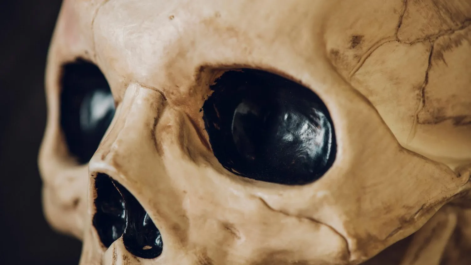 медиасток.рф