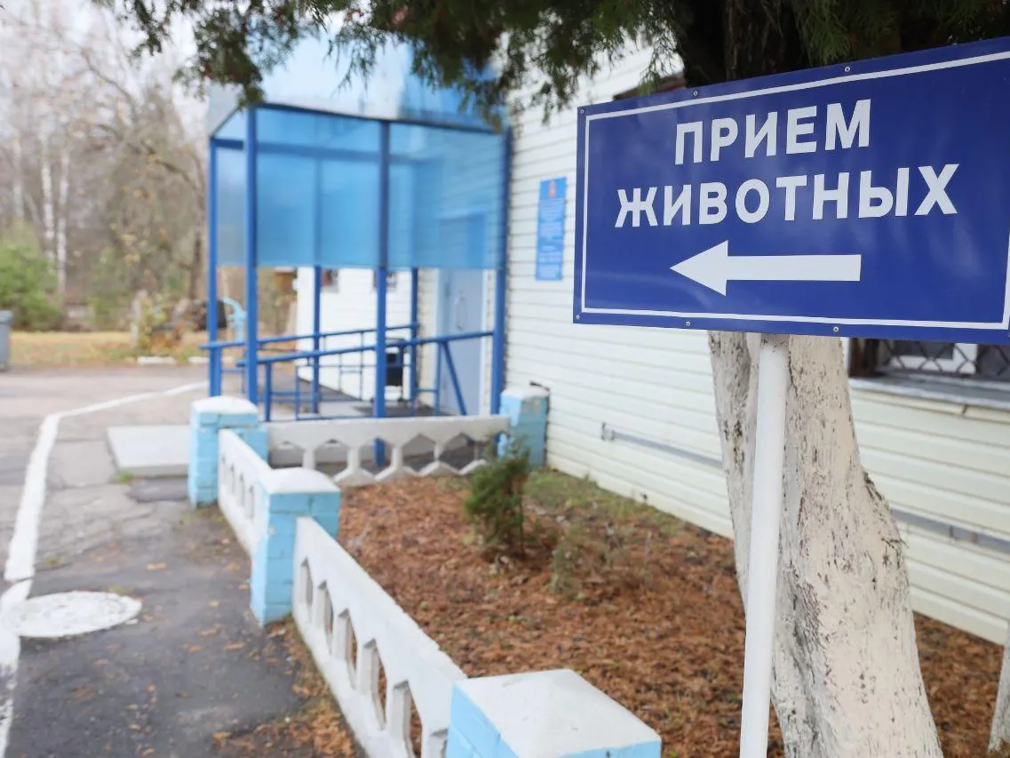 Фото: пресс-служба администрации Сергиево-Посадского г.о.