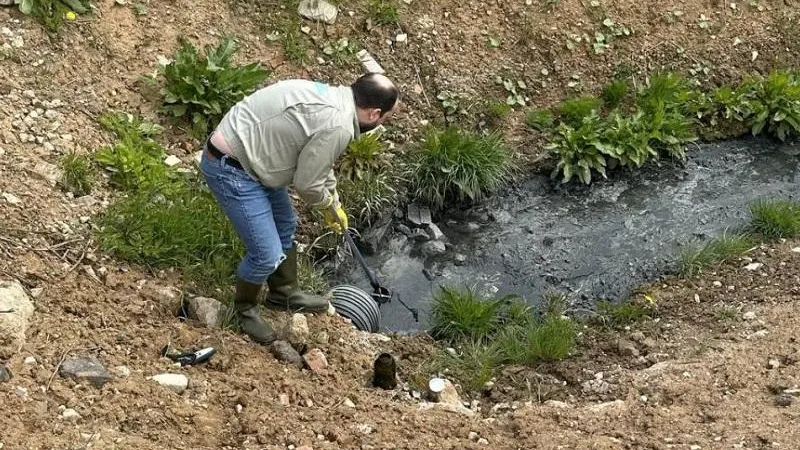 Фото: Министерство экологии и природопользования Московской области