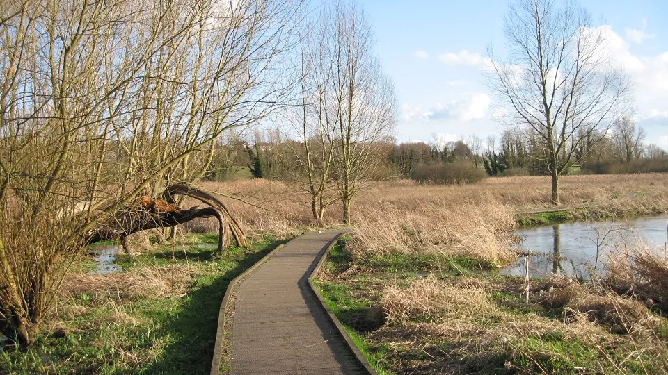 Фото: pxhere.com