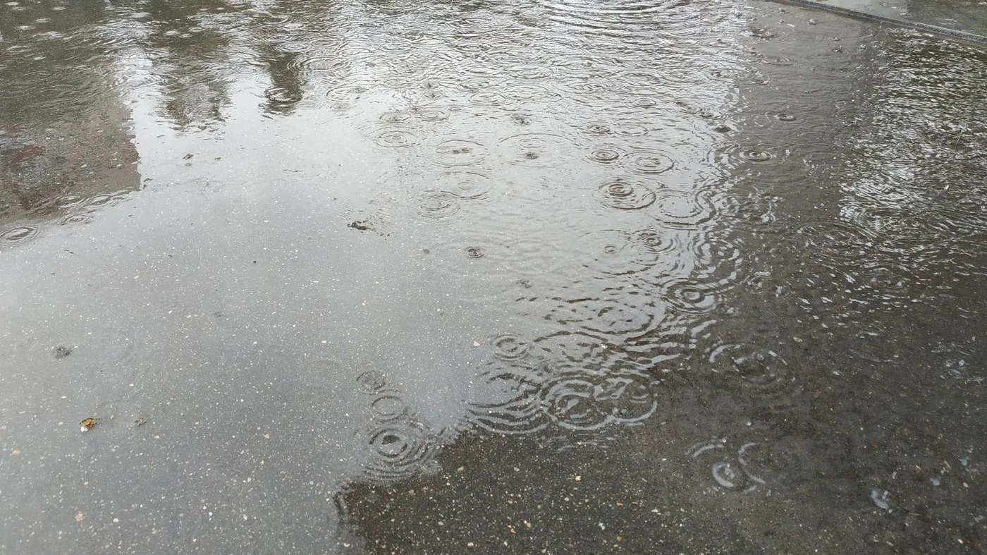 Из архива редакции