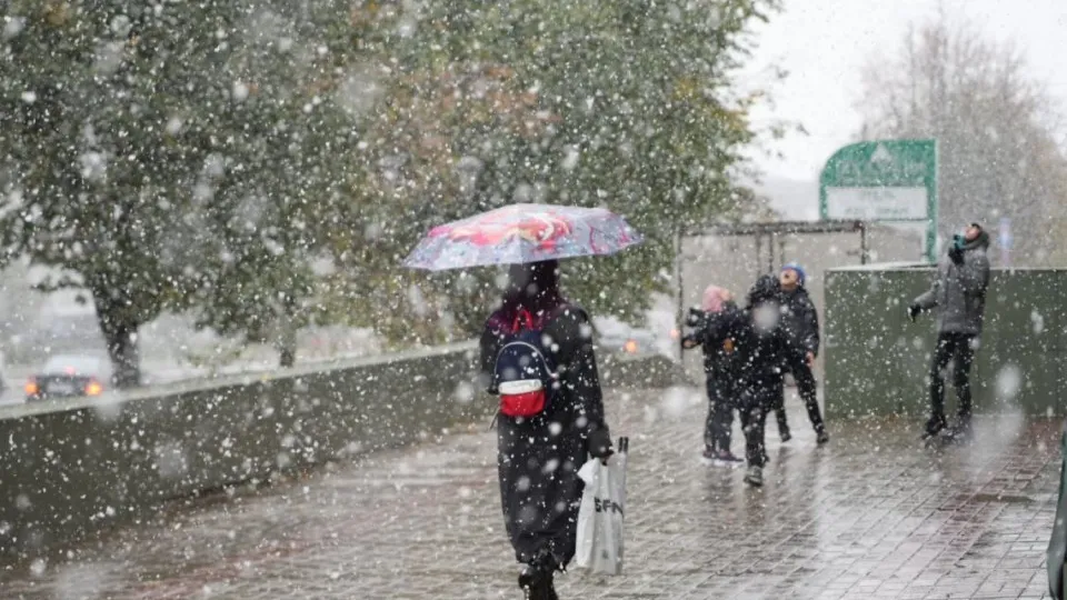Фото: МедиаБанк Подмосковья/Дмитрий Зайчиков