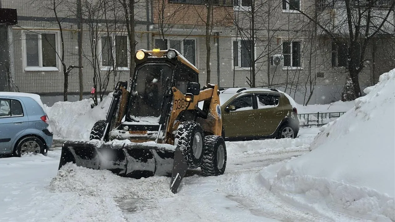 REGIONS/Кристина Тришина