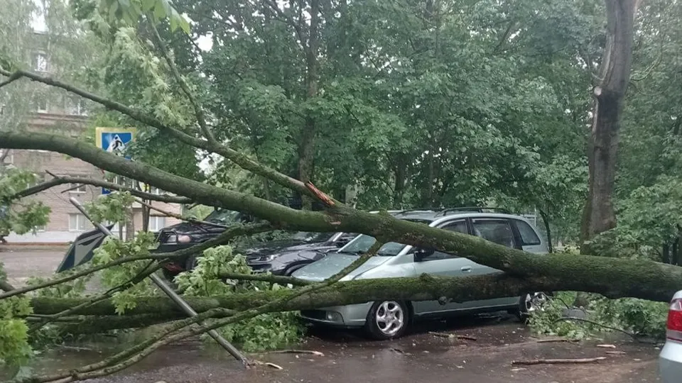 Фото: t.me/podolsk24life