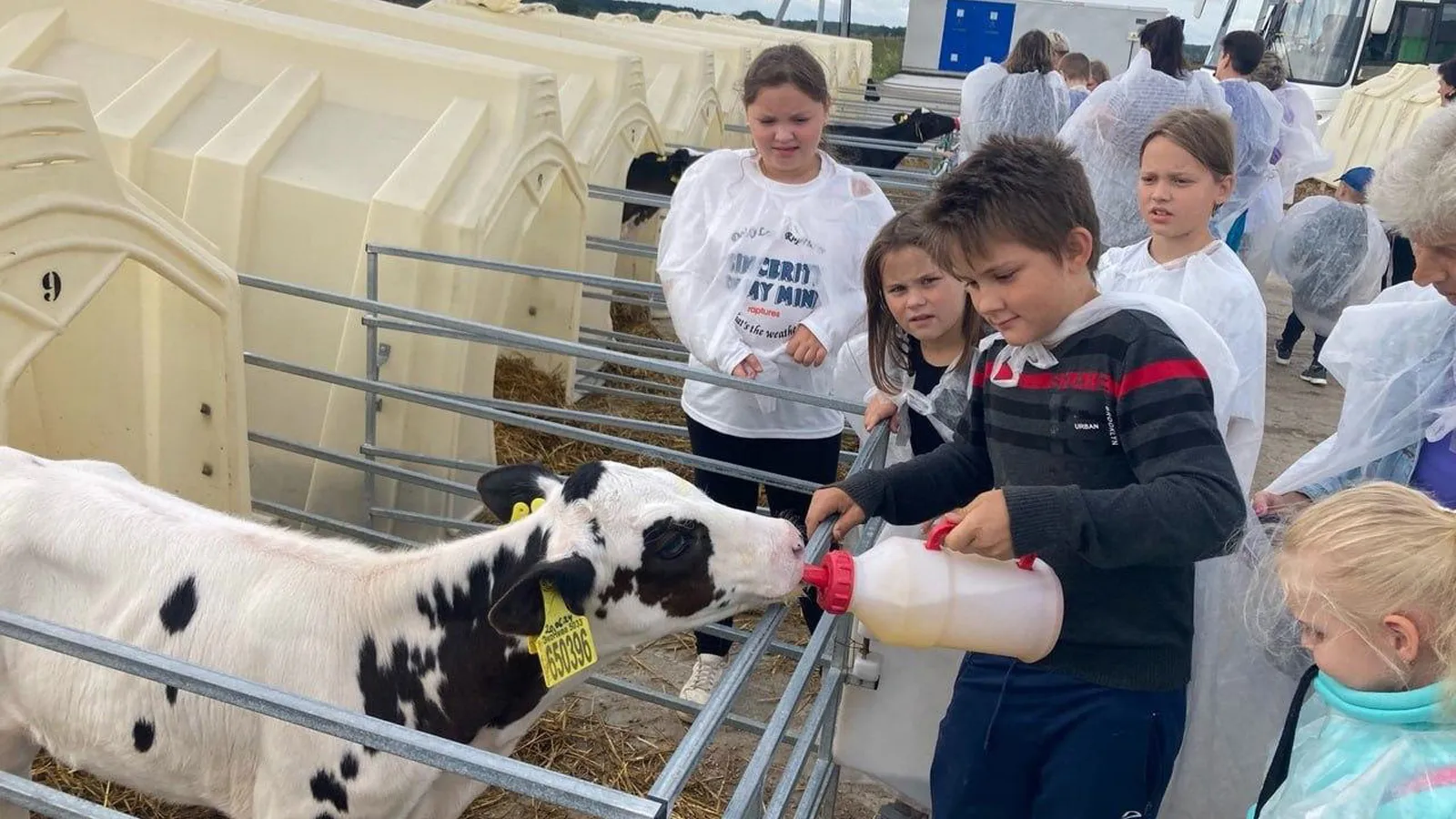 Фото: Городищенский ДК МБУК «КТЦ» г.о. Ступино