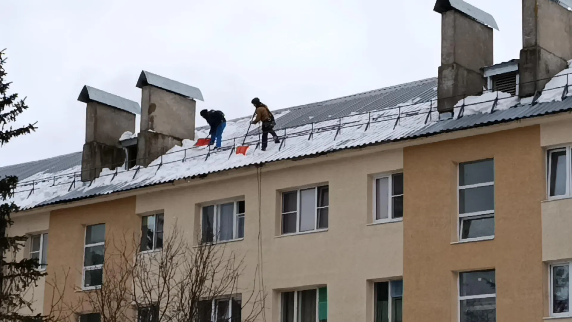 МедиаБанк Подмосковья/Анастасия Новак