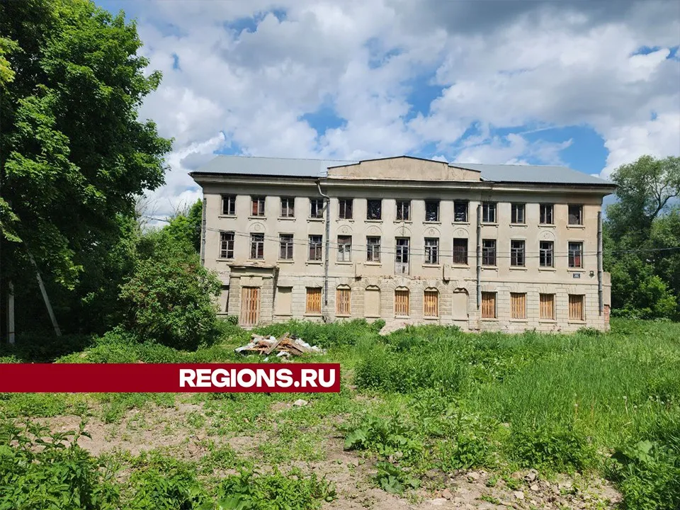 Фото: Мария Панина