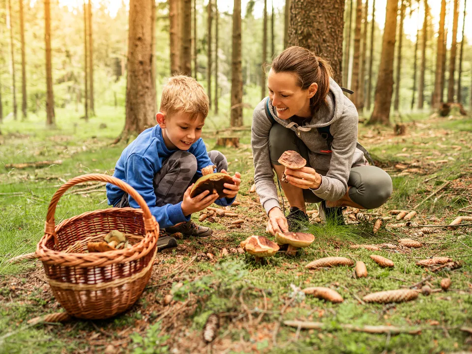 &nbsp; Фото: istockphoto.com