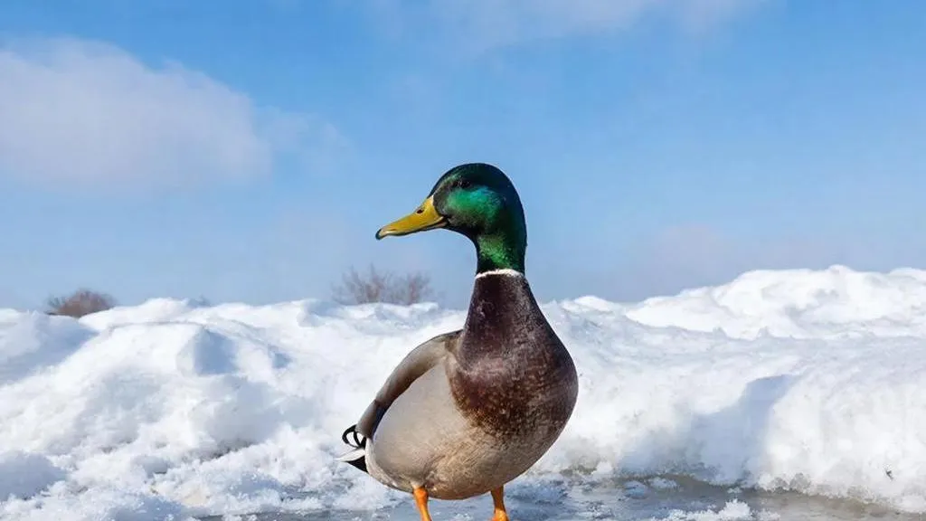 Фото: REGIONS/создано нейросетью