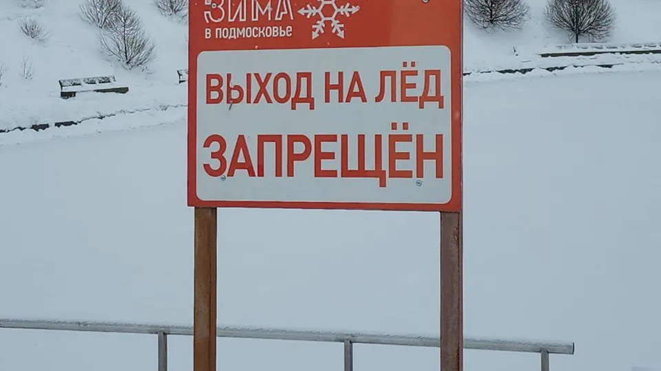 Фото: МедиаБанк Подмосковья/Мария Амелина