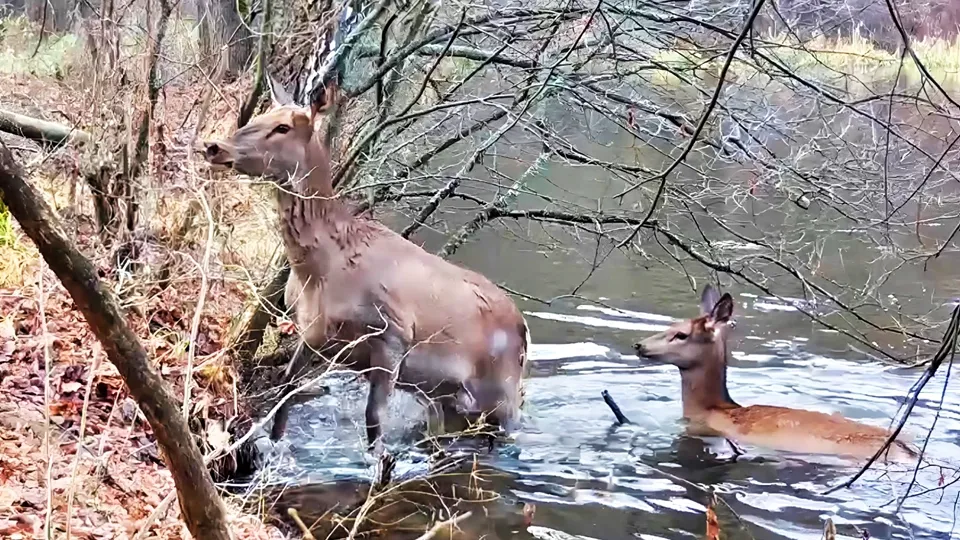 Фото: Максим Скволыгин