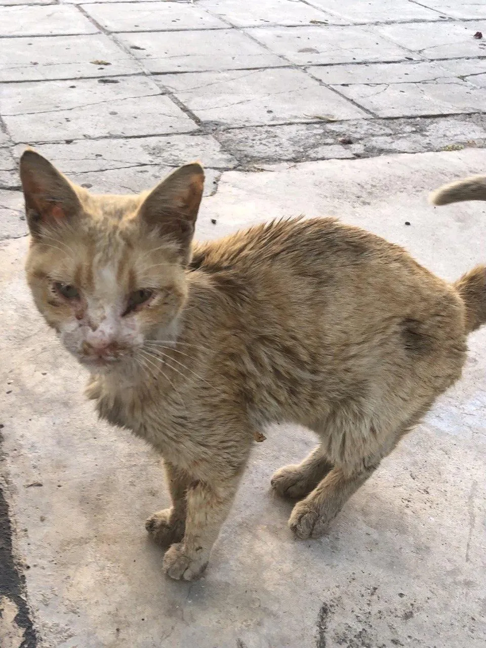пресс-служба администрации городского округа Долгопрудный