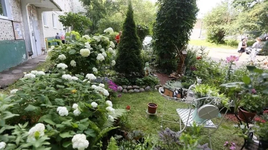 Фото: пресс-служба Администрации Сергиево-Посадского г.о.