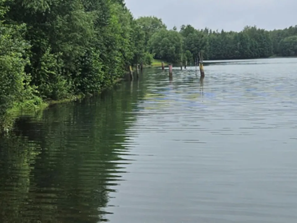 Фото: Министерство экологии и природопользования Московской области