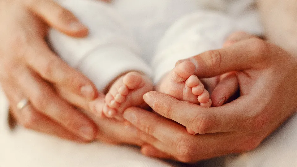 Фото: freepik.com