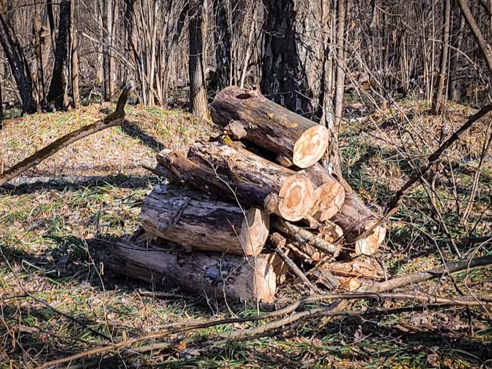 Фото: МедиаБанк Подмосковья/Ольга Антонова