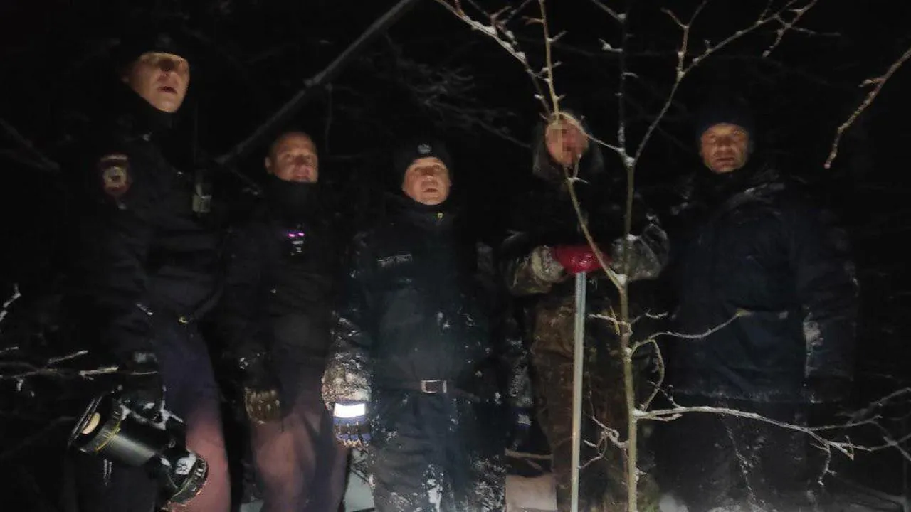 Подмосковные спасатели помогли пенсионерке, заблудившейся во время лыжной прогулки в лесу