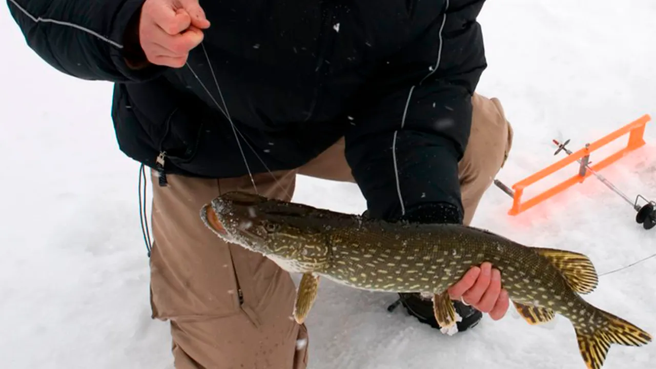 Фото: istockphoto.com