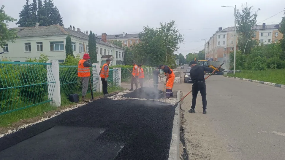 Фото: пресс-служба администрации г.о. Электросталь