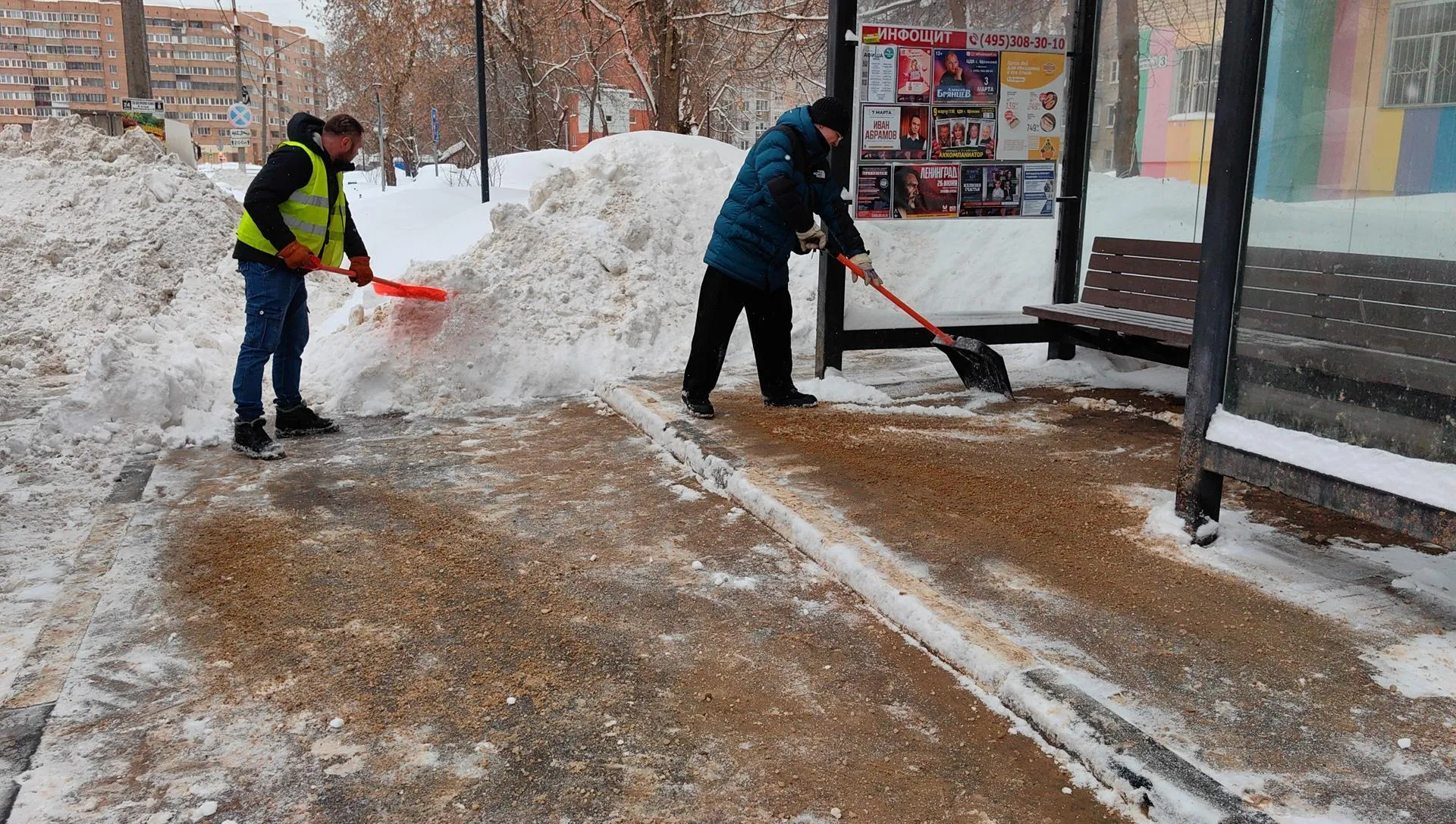 Елена Катасонова
