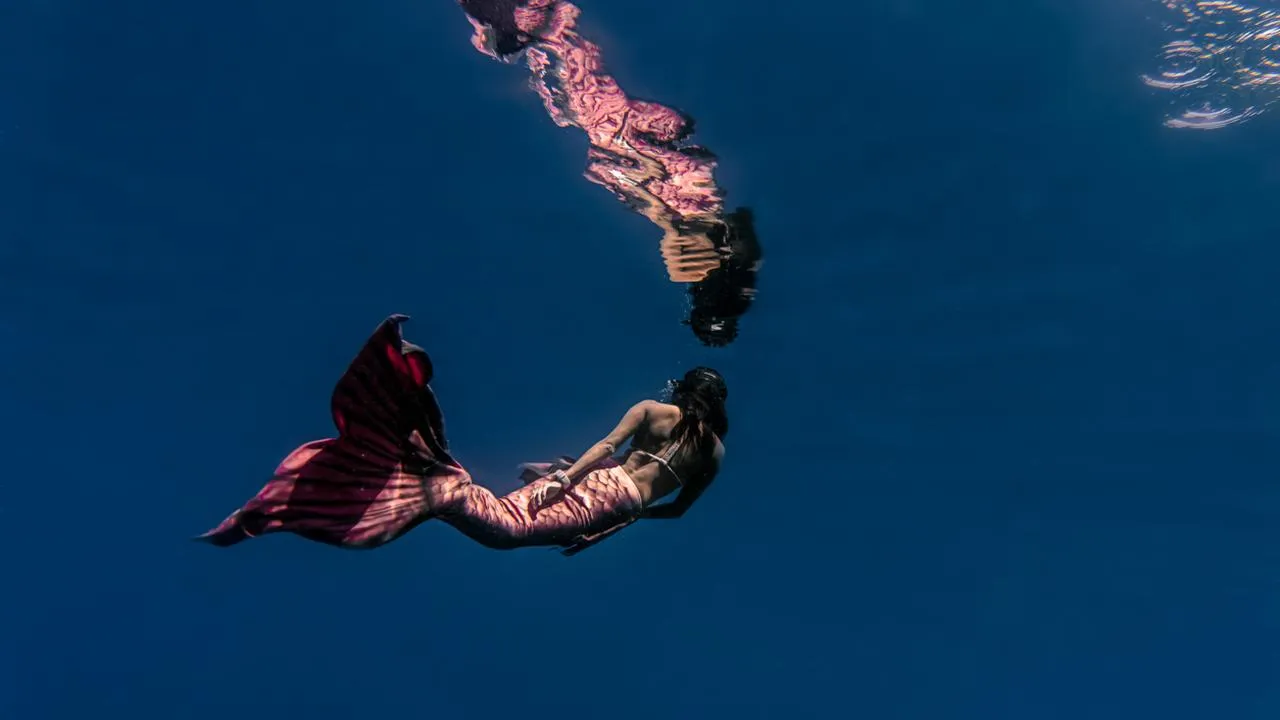 Просто добавь воды: как мечты о русалках превратились в новый фитнес-тренд Подмосковья