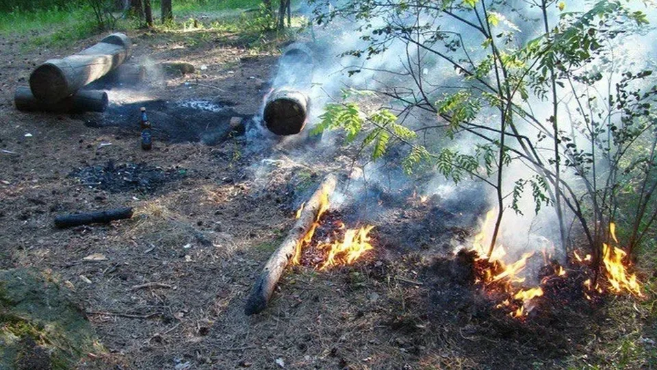 Фото: Антон Чернов