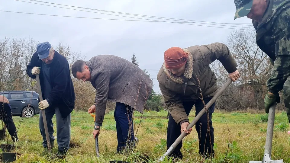 Фото: пресс-служба администрации м.о. Луховицы