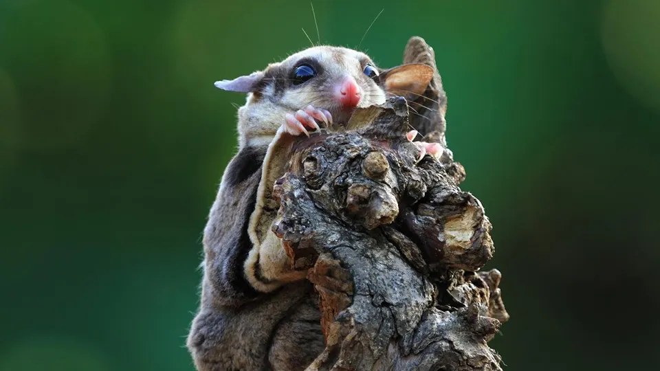 Фото: freepik.com