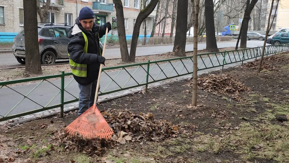 Фото: МедиаБанк Подмосковья/Наталья Лымарь