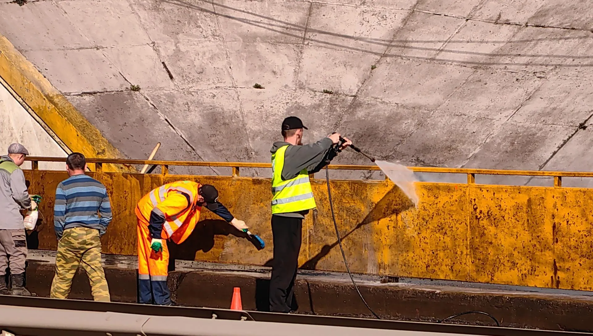 Елена Катасонова