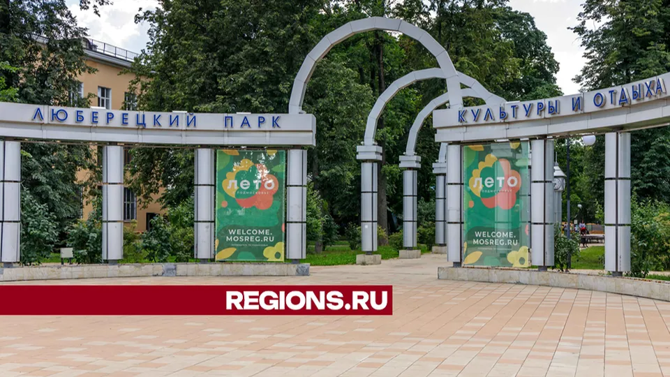 Фото: REGIONS/Наталия Надточая