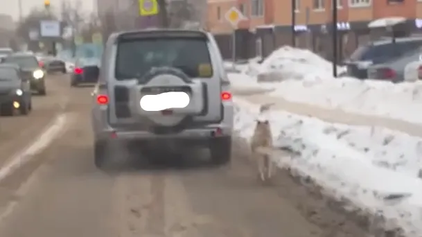 Фото: Подслушано | Истра / ВКонтакте