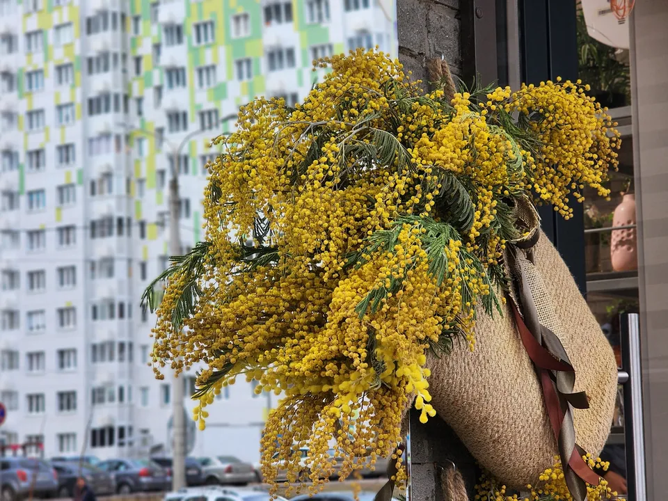 Фото: МедиаБанк Подмосковья/Валерия Тингаева