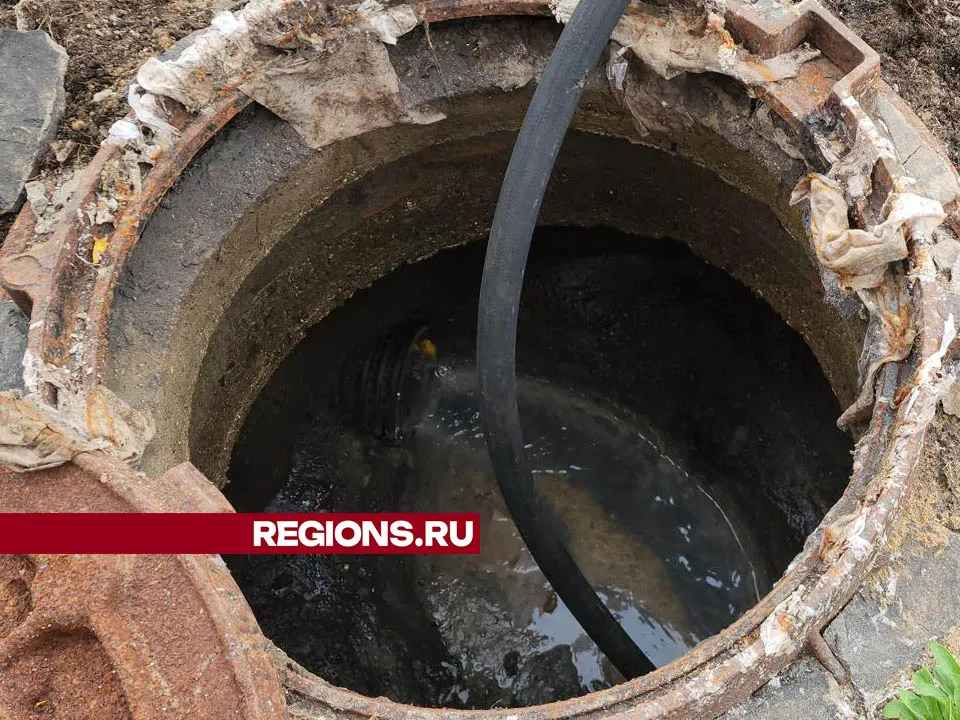 Фото: Валерия Тингаева