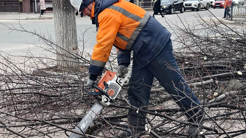 Фото: пресс-служба администрации г.о. Серпухов