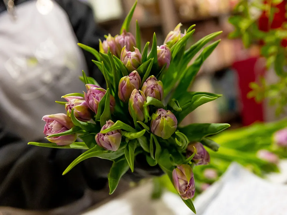 Фото: пресс-служба администрации Орехово-Зуевского округа